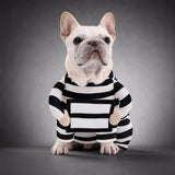 Disfraz de preso para perro - Uhh Pets