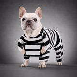 Disfraz de preso para perro - Uhh Pets