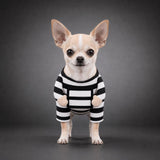 Disfraz de preso para perro - Uhh Pets