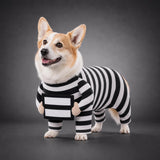 Disfraz de preso para perro - Uhh Pets
