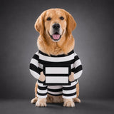 Disfraz de preso para perro - Uhh Pets