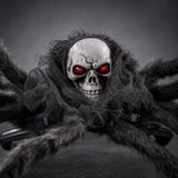 Perro con el collar de arana calavera de Halloween
