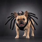 Perro con el collar de arana calavera de Halloween