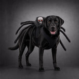 Perro con el collar de arana calavera de Halloween