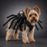 Perro con el collar de arana calavera de Halloween
